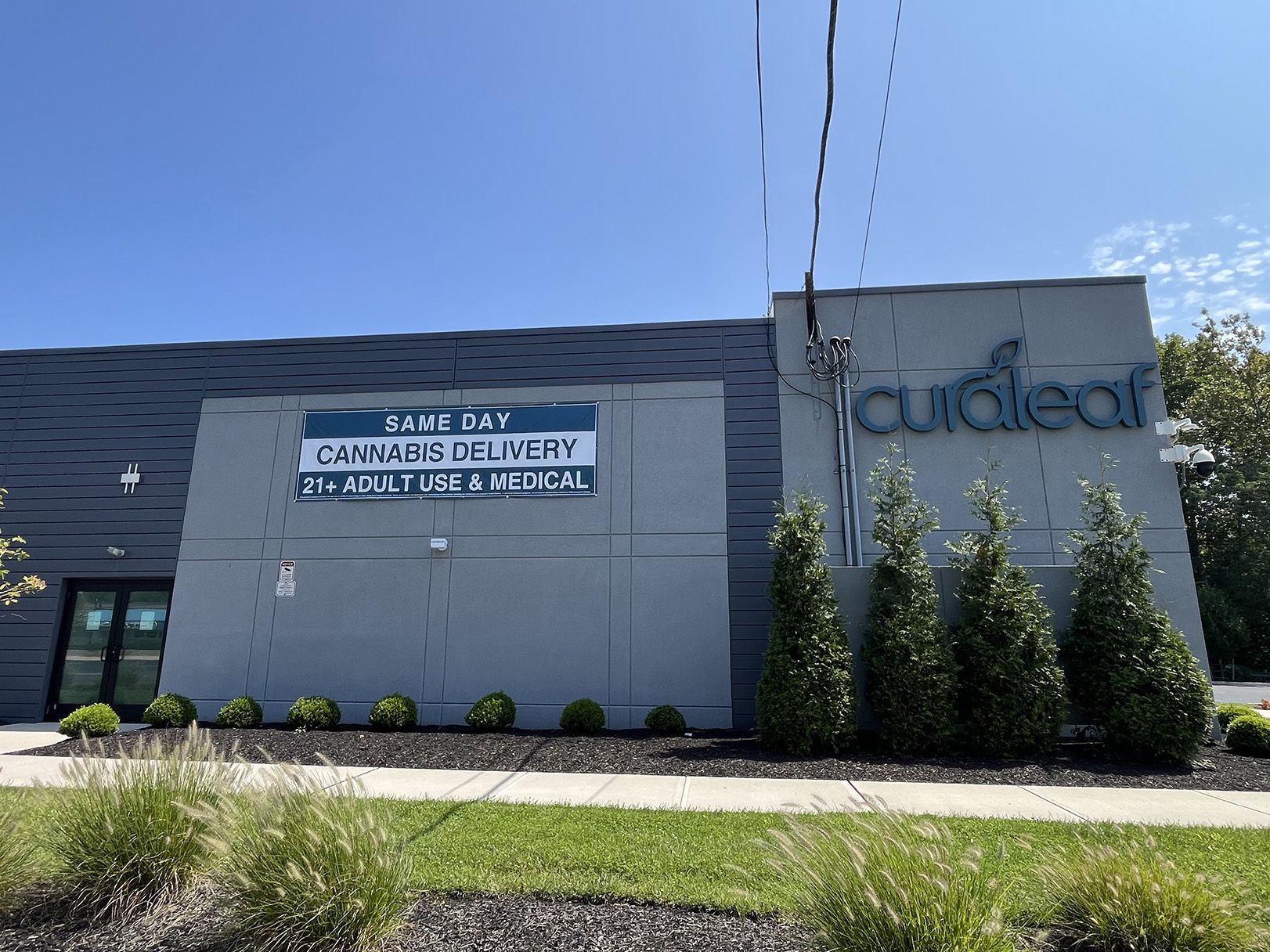 Free Delivery vs. Product Discounts: What’s Really Saving Cannabis Shoppers?